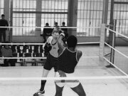 Germany-Quarter Finals.